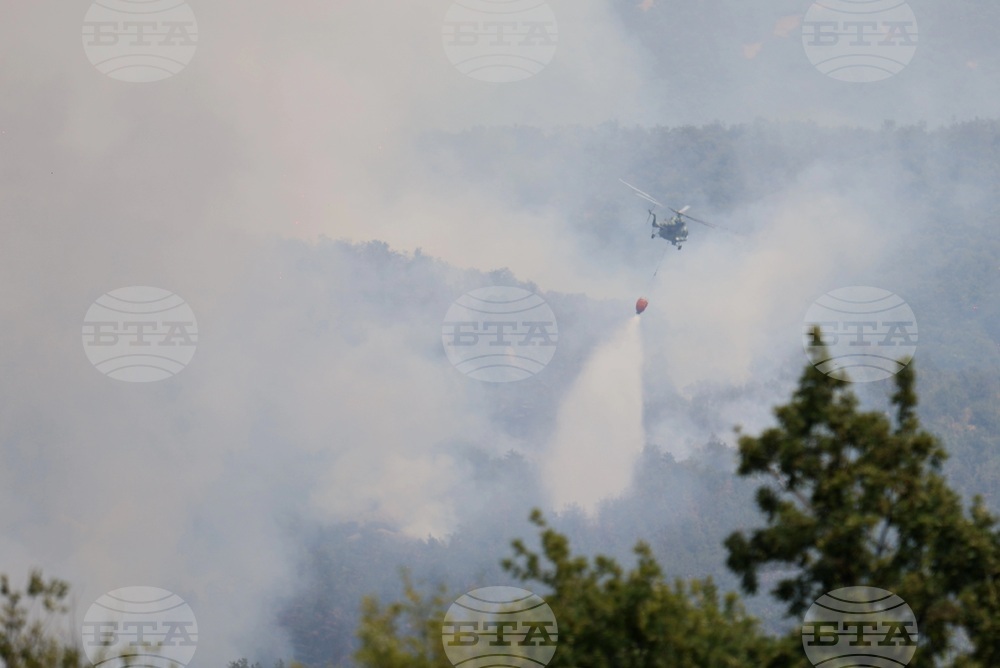 Пожари горят в различни части на Гърция, властите наложиха ограничения за движението в рискови райони