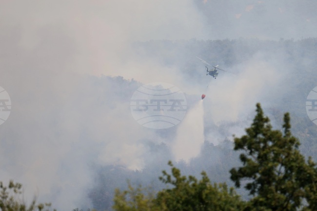 Пожари горят в различни части на Гърция, властите наложиха ограничения за движението в рискови райони