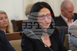 Парламент - Временна комисия свързана с дейността на Ивелин Михайлов и  "Исторически парк"