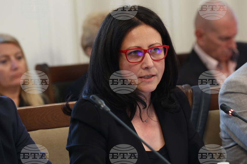 Парламент - Временна комисия свързана с дейността на Ивелин Михайлов и  "Исторически парк"