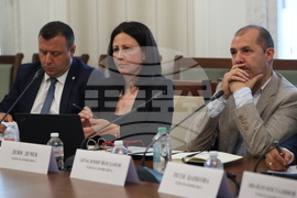 Парламент - Временна комисия свързана с дейността на Ивелин Михайлов и  "Исторически парк"