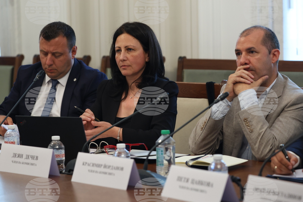 Парламент - Временна комисия свързана с дейността на Ивелин Михайлов и  "Исторически парк"