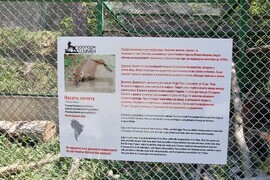 Шумен – зоопарк – нови животни