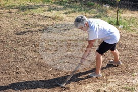 Село Опълченско - църква „Св. Пророк Илия“ - обновяване