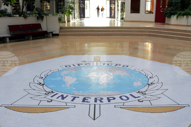 61 Crime Suspects Extradited to Turkiye, Including One from Bulgaria