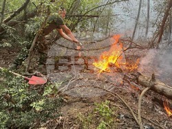 Снимка: Министерство на отбраната