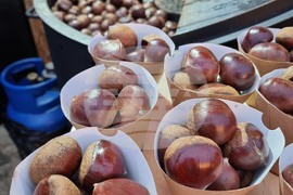 Румъния - парк Друмул Таберей - Коледен базар