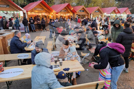 Румъния - парк Друмул Таберей - Коледен базар