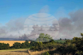 Село Воден - пожар