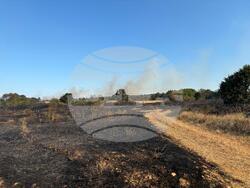 Снимка: Пресцентър МВР 