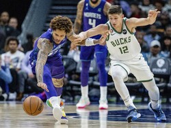 Bucks Hornets Basketball