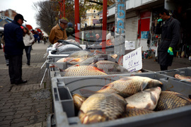 Женски пазар - риба