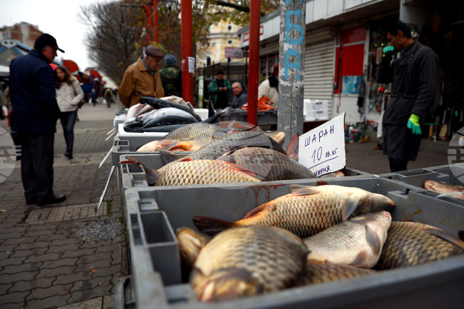  Женски пазар - риба