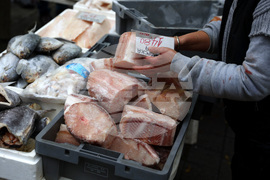 Женски пазар - риба