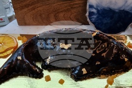 Варна - „Да споделим Никулден” - благотворителен фестивал