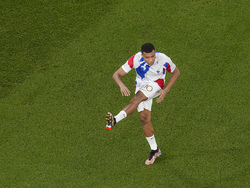 WCup France Poland Soccer
