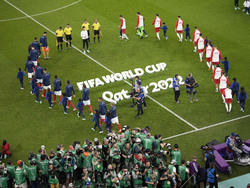 WCup France Poland Soccer