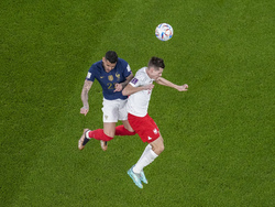 WCup France Poland Soccer