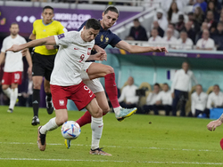WCup France Poland Soccer