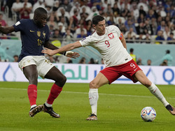 WCup France Poland Soccer