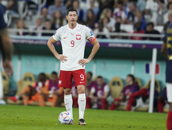 WCup France Poland Soccer