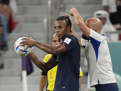 WCup France Poland Soccer