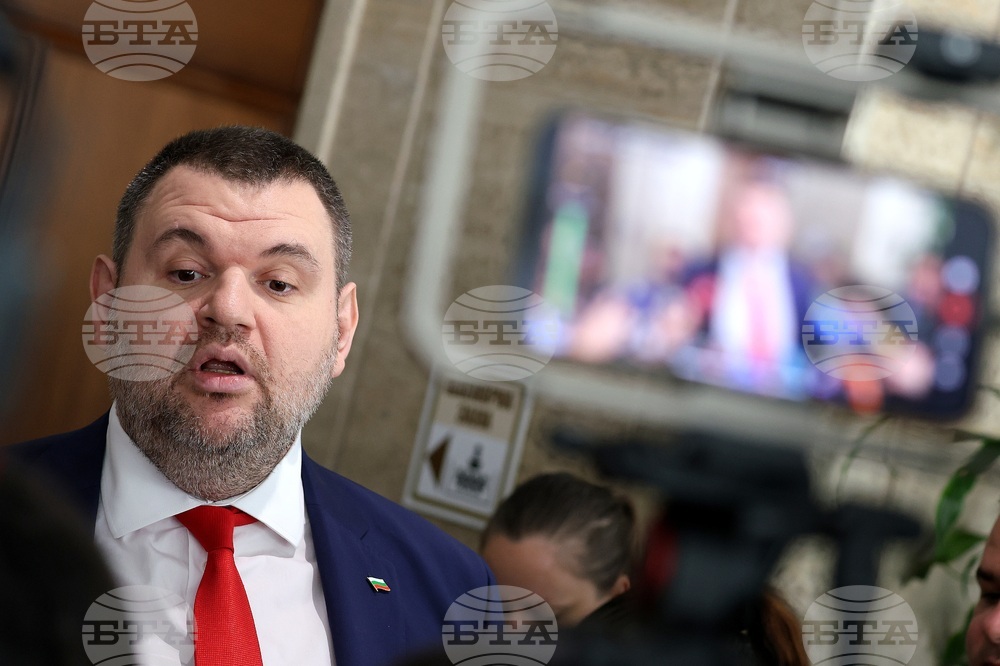 Парламент - Делян Пеевски - изявление