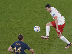 WCup France Poland Soccer