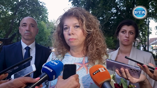 Добра новина е, че партиите в парламента имат желание за дискусия по декларацията на ПП-ДБ, посочи Илияна Йотова