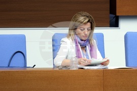 Парламент - заседание