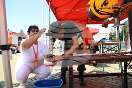 Столична община - празник на българските спасители - Ден на Гражданска защита