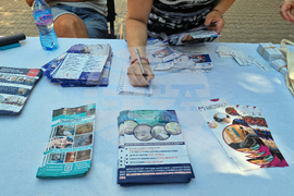 Шумен - кампания - Медика