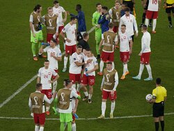 WCup France Poland Soccer