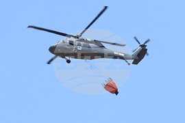 Село Отец Паисиево - пожари