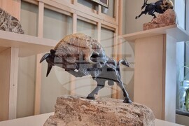 Варна - изложба - Сейфетин Шекеров