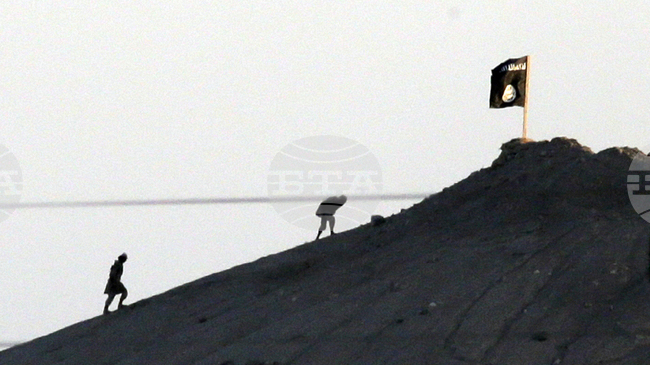 Арестувани са 26 души, заподозрени в убийството на трима турски полицаи при операция срещу "Ислямска държава" в Северозападна Турция