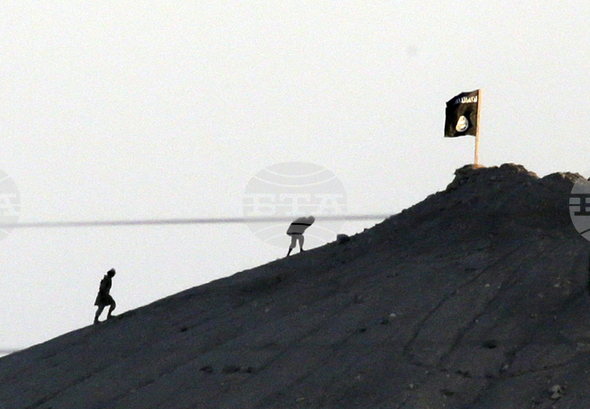 Арестувани са 26 души, заподозрени в убийството на трима турски полицаи при операция срещу "Ислямска държава" в Северозападна Турция