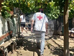 Снимка: БЧК