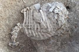 Горна Оряховица - Археологически находки