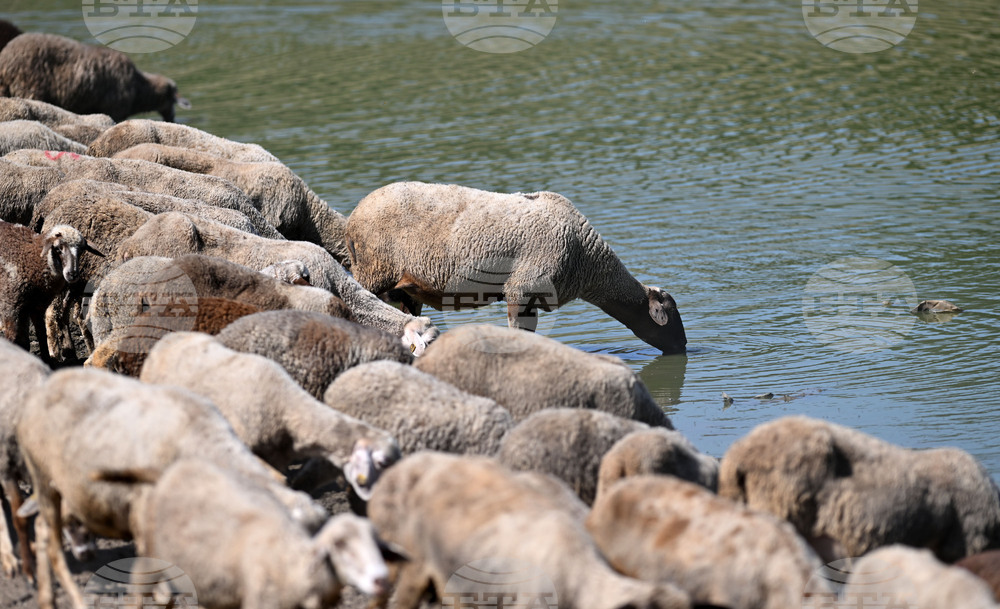 Заместник-председателят на разтърсената от корупционен скандал гръцка агенция за земеделски субсидии подаде оставка