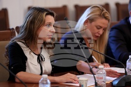 Народно събрание - Мартин Божанов - Нотариуса - комисия - заседание