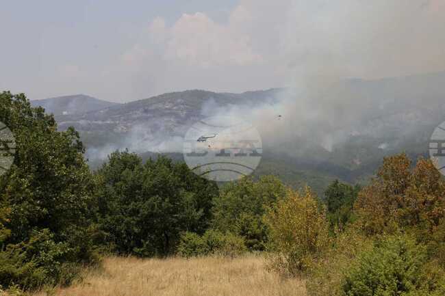 North Macedonia Battles Nine Active Wildfires, Activates European Civil Protection Mechanism