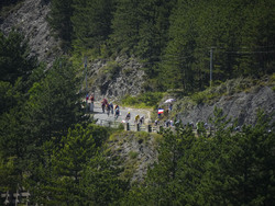 Cycling Tour de France