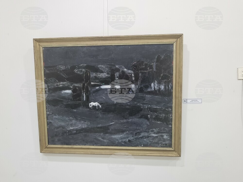 Плевен - изложба - дарени картини