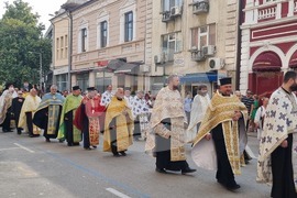 Видин - патриарх Даниил - посещение