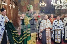 Видин - патриарх Даниил - посещение