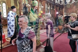 Видин - патриарх Даниил - посещение