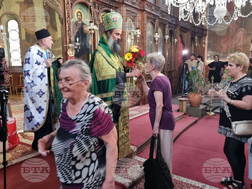 Видин - патриарх Даниил - посещение