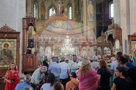 Видин - патриарх Даниил - посещение