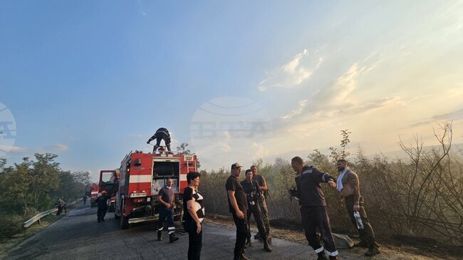 Общо 38 пожара са ликвидирани у нас през изминалото денонощие